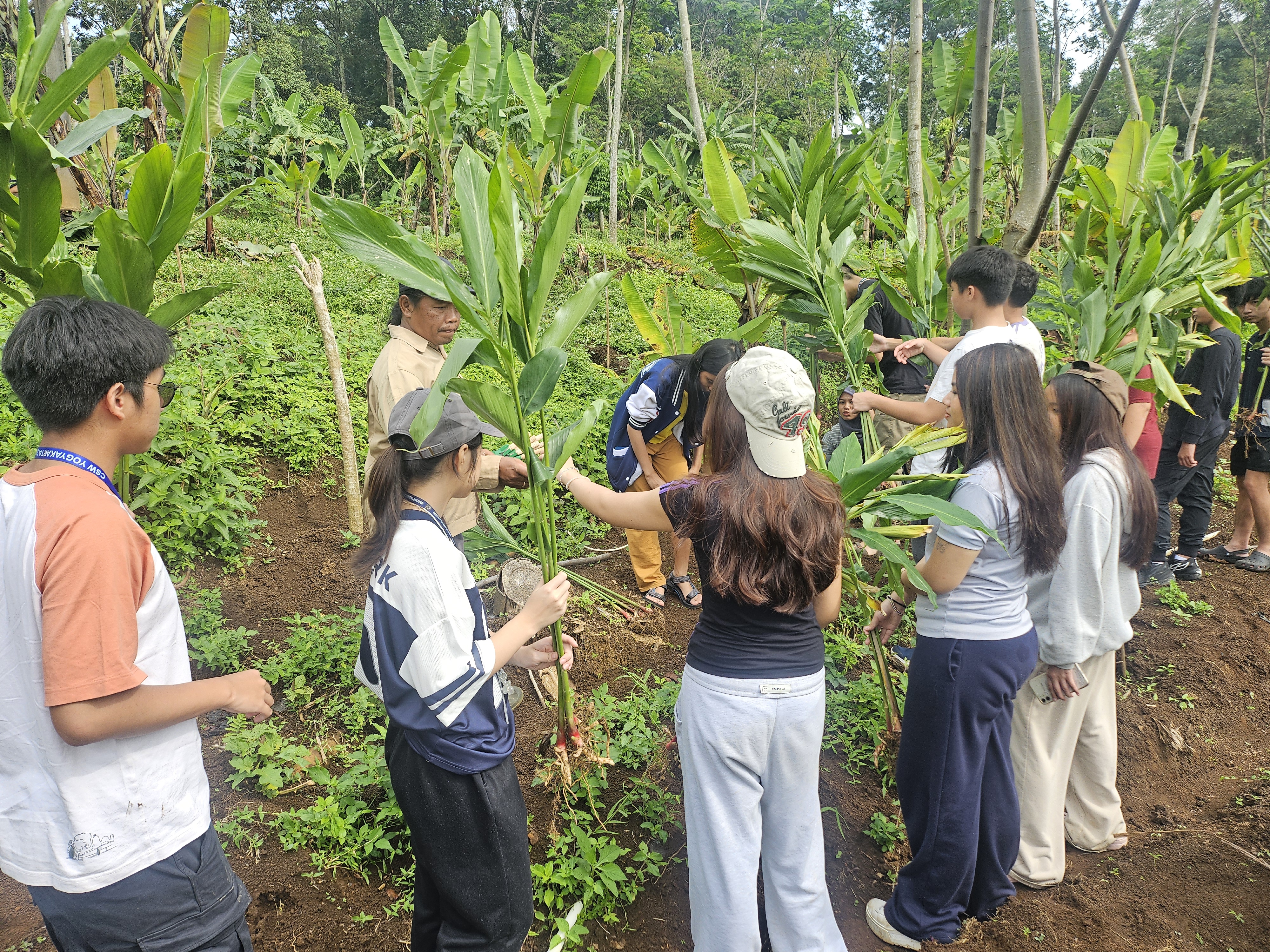 Agroforestry Activity